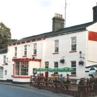 The Fountain Inn – hotel w mieście Parkend