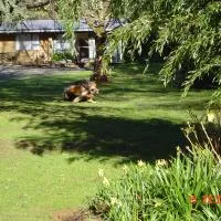 Havelock Garden Motel, hotel a Havelock