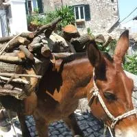 Artena में, होटल B&B Dell' Artista