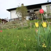 Haus Koblizek, отель в городе Вальдкирхен