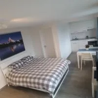 Lake View Private Studio، فندق في Richterswil