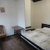 Готель "ГОСТЬОВИЙ ДІМ in Stryj", hotel v destinaci Stryj