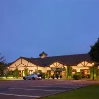 Kilmurry Lodge Hotel, отель в Лимерике