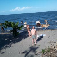 a man standing on the beach with a herd of animals at Apartment Beach Cabins, Altagracia
