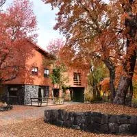 Cabañas Las Cabras, Hotel in Las Trancas