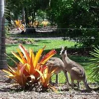 Bluegrass BnB, hotel em Bundaberg