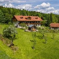 Haus Jägerfleck, Ihre Ferienwohnungen am Nationalpark Bayerischer Wald, ξενοδοχείο σε Spiegelau