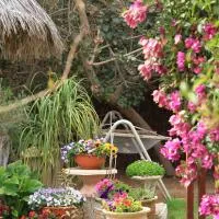Paran में, होटल Idan Lodge in the Arava