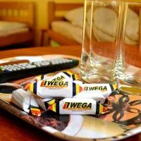 Noclegi Wega, отель в Ченстохове