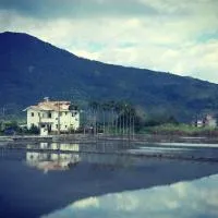 Home-Link B&B, hotel v destinaci Fenglin