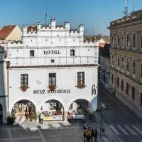 Hotel Bílý Koníček, hotell sihtkohas Třeboň