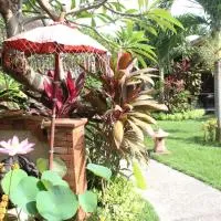Yuda Menjangan Homestay, hotel i Banyuwedang