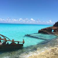 Bimini Seaside Villas - Pink Cottage with Beach View