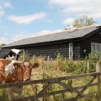 Bull Farm Studios, hotel in Winchester