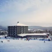 예르브쇠에 위치한 호텔 Bergshotellet