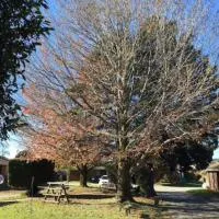 Golden House, hotell i Springvale