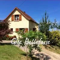 Maison independante de montagne en ALSACE, viešbutis mieste Bellefosse