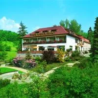 Hotel Wiesengrund, hotel in Lindenfels