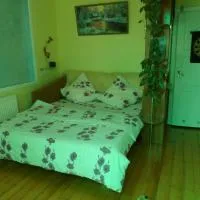 Зелена Вілла -басейн,тераса, квіти, сад: Ujgorod şehrinde bir otel