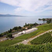 Hotel Lavaux, hotell i Cully