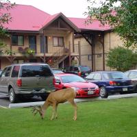 Aspen Village: Waterton Park şehrinde bir otel
