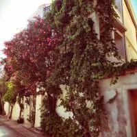 Guest House Neho، فندق في كريس