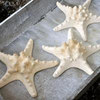 three star cookies sitting on top of a cookie sheet at Hotel Havenzicht Texel, Oudeschild
