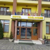Hotel Edelweiss, khách sạn ở Mediaş