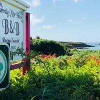 Carraig-Mor House Bed & Breakfast, хотел в Toormore