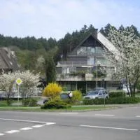 Waldhotel Tropfsteinhöhle، فندق في فيهل