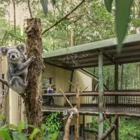 Springwood Meditation Centre 春木禪修渡假中心, hotel Springwoodban