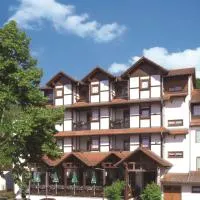 Blick zum Maimont, hotell sihtkohas Ludwigswinkel