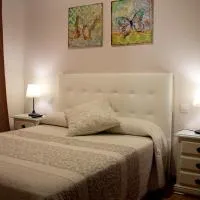 Felisa Center: Arrecife'de bir otel