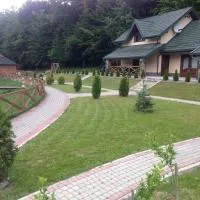 Поляна Купіль、Polyanaのホテル