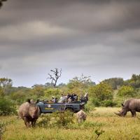 Motswari Private Game Reserve by NEWMARK