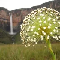 Pousada Tabuleiro Eco, khách sạn ở Conceição do Mato Dentro