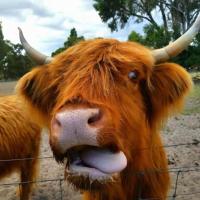 Nutcrackers Lodge, hotel poblíž Letiště Esperance - EPR, Esperance