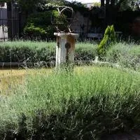 The Yardt Guest House โรงแรมในTrichardt