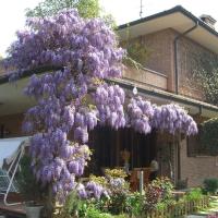 B&B Les Fleurettes