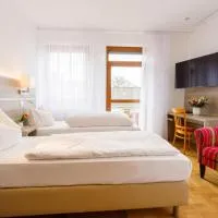 Hotel Spitzenpfeil, hotel v destinaci Michelau
