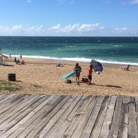 Estrella de Mar, vie&scaron;butis mieste Paloma