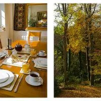 Woodland Views, hôtel à Milton Abbas