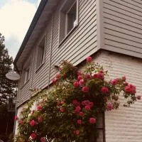 Landhaus Thome, отель в городе Нидегген
