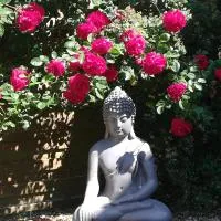 Studio Climatisé & Appartement Zen de Beauval- 800 m du Zooparc, מלון בSeigy