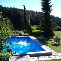 Gästehaus Elisabeth, hotel din Radstadt