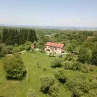 Pensiunea Elena, hotell i Vistisoara