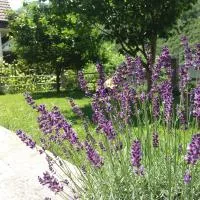 Kuća Lavanda, hotel en Drežnjak