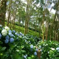 Qingshan Homestay, hotel en Taimali