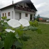Guesthouse Matija, hotel di Irinovac