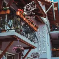 Pensiunea Renata, hotel u gradu Boghiş